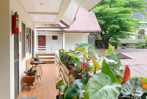 UrbanView BNKY Bed and Breakfast Palawan by RedDoorz