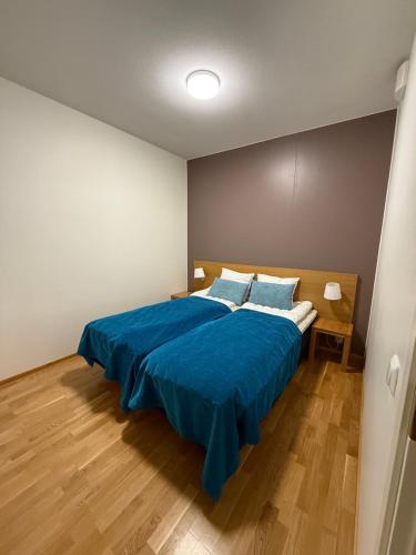 Ruka Ski Chalets