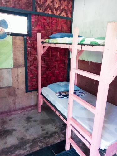 Sharkbunkbed siargao