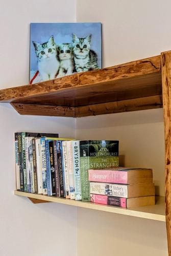 Skellig View Bluebell Rose & The Kerry Cliffs