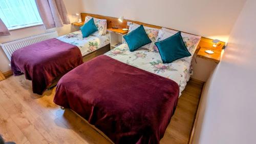 Skellig View Bluebell Rose & The Kerry Cliffs