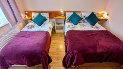 Skellig View Bluebell Rose & The Kerry Cliffs