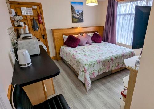 Skellig View Harbour View Sunrise Apartment