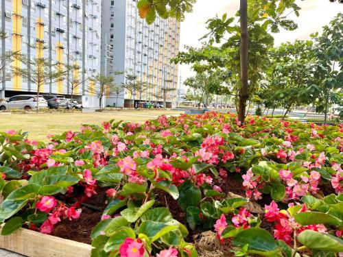 Affordable Fully Furnished Place in the City