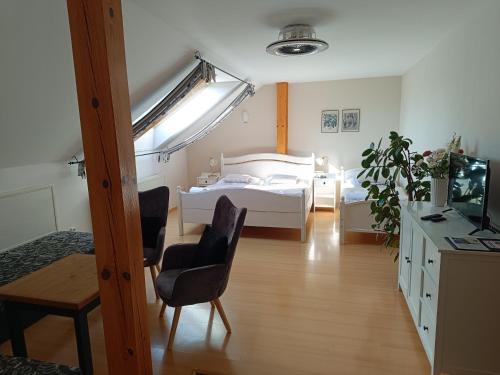 Penzion V Podzamci Litomysl