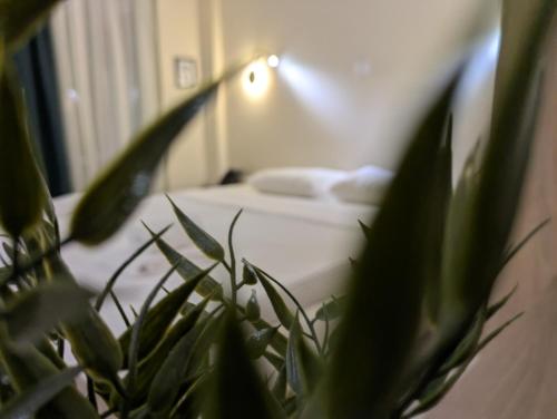 AIR-IN Rooms with magnificent views