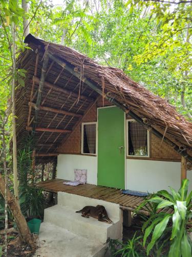 Lazy Lizard Hostel