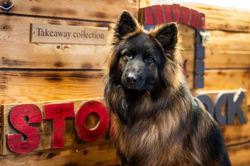 The First Hurdle Guest House