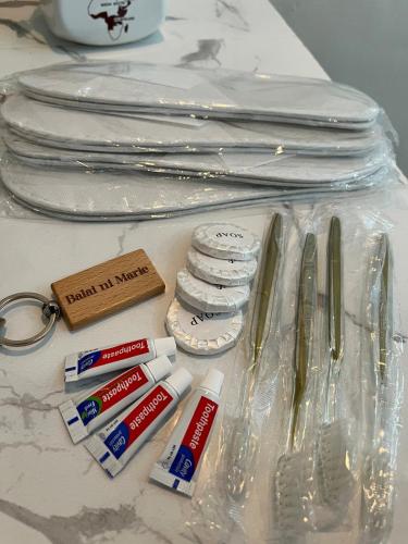 Balai ni Marie - 1 br and 2 t&b near GSC Airport