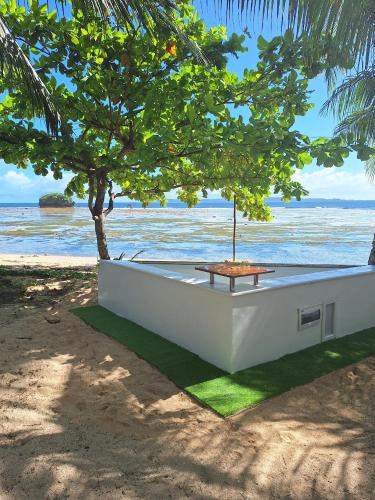 Remy's Eco house