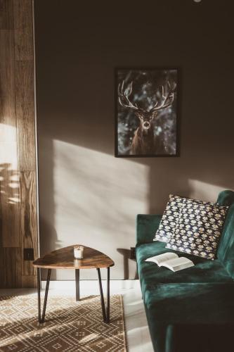 Sowie Chatki - domki z widokiem na Góry Sowie