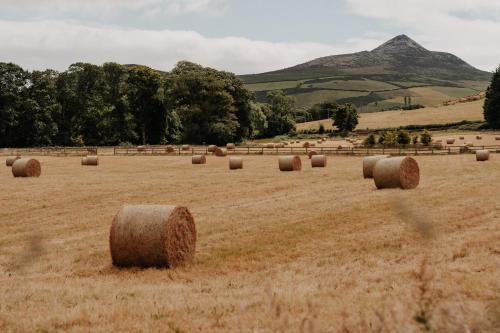 Powerscourt Springs Health Farm