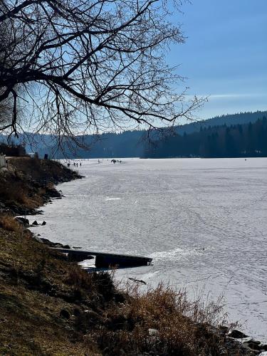 Apartmány V uličce Frymburk