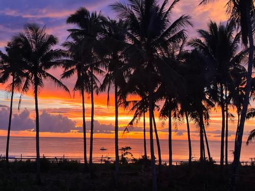 Tabularasa - T Palawan
