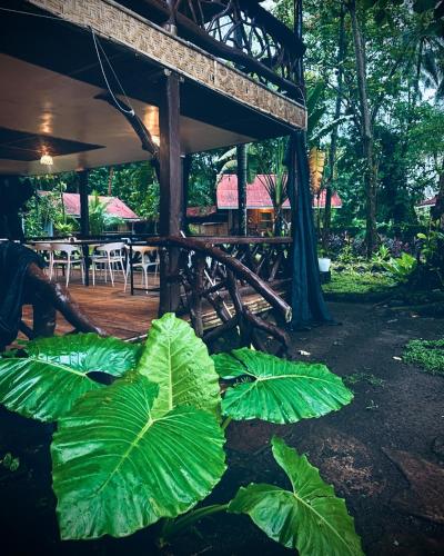 Playa del Fuego Camiguin Beach Hostel & Resort