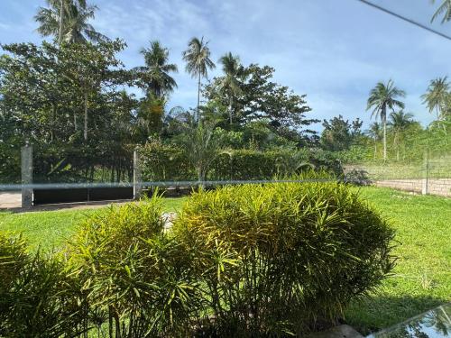 CasaLinda Homestay