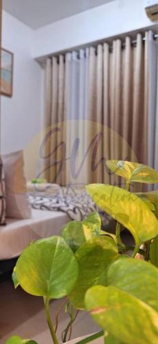 10th Floor Facing Amenity