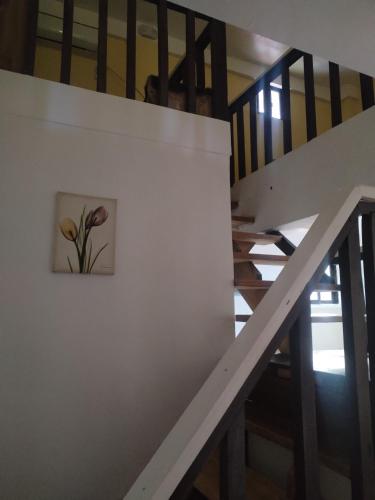 Paradiso Hostel Extension