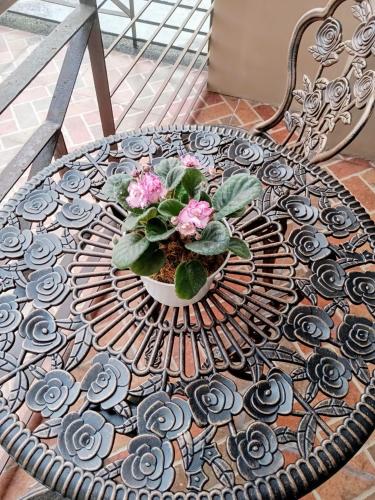 3 Pax Studio Foggy Cold Breeze, Condo in Gardenville Hotel