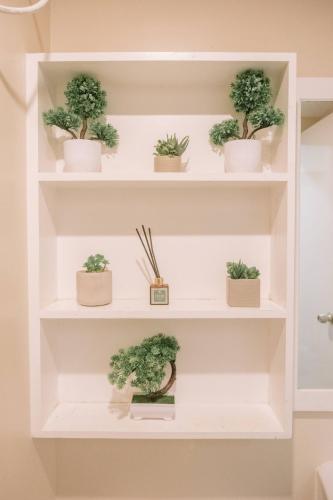 Irresistibly Spacious Haven