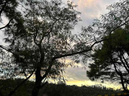 Alpine Crosswinds Standard 1BR Suite