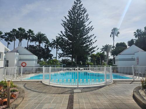 Paraiso Tropical