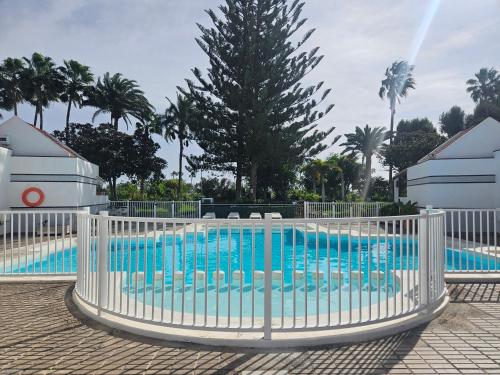 Paraiso Tropical