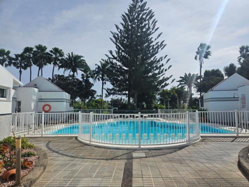 Paraiso Tropical