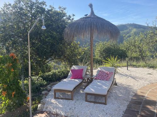 B&B Sol Y Monte