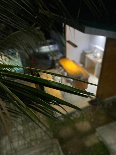 3bedroom Lakeview Casa