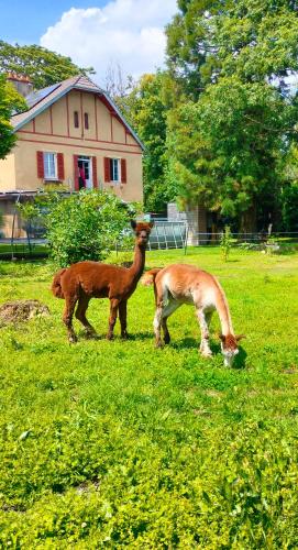 Chambre D'hôte Calme Et Volupté