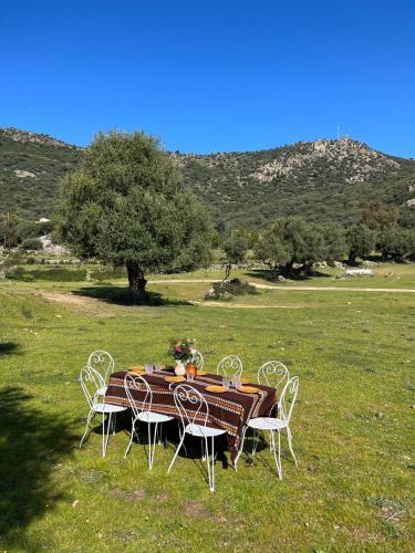 Ferme Auberge l'Aghjalle