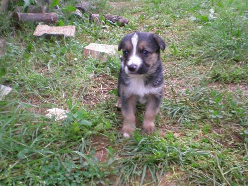 Genießerhotel Landhotel Jagdhof