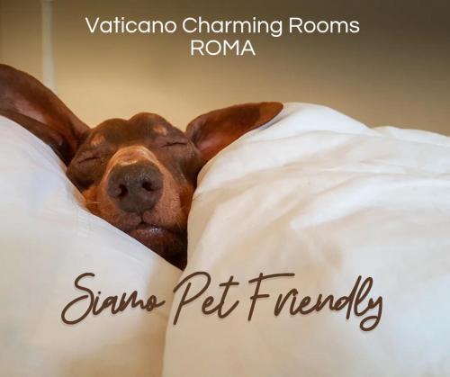 Vaticano Charming Rooms