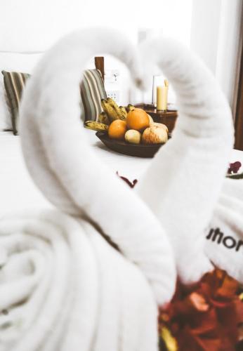 Evolution Dive and Beach Resort