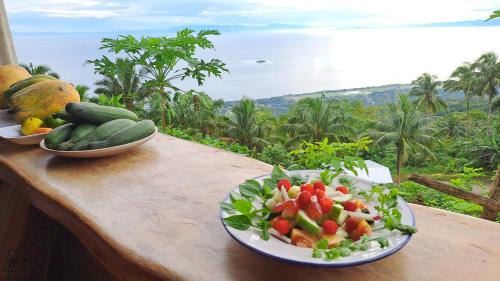 Eco Farm Romantic Stone House with STARLINK internet 700 meters above sea level