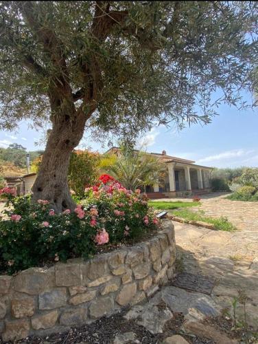 B&B Villa Russo
