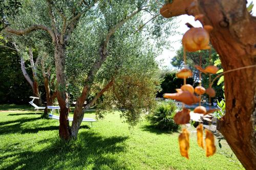 Missipezza Residence