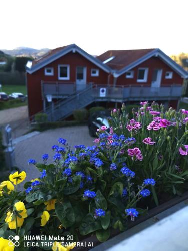 Village Hotel Bayerischer Wald