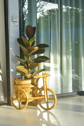 White House Villa El Nido