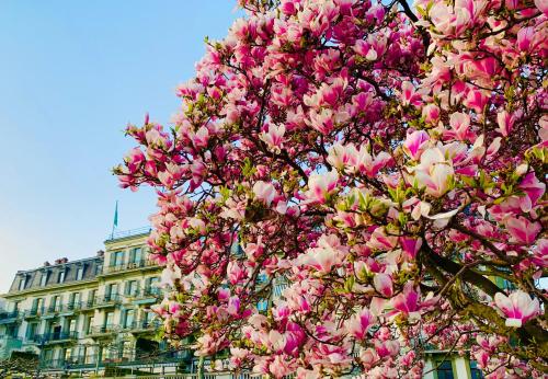 Hotel Des Trois Couronnes Destination Spa
