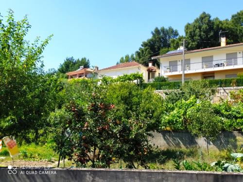 BellaVista Alojamento