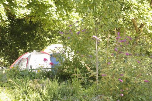 The Tent