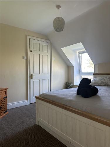 The Grapevine Hostel