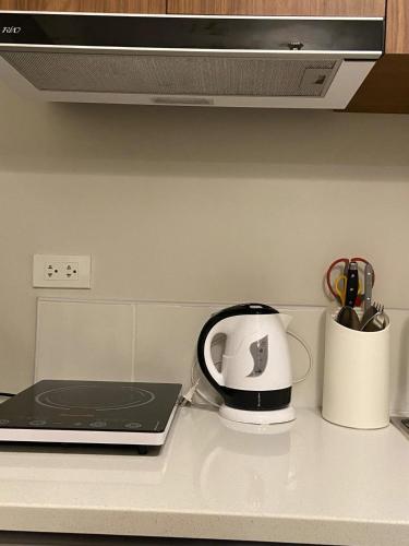 Saekyung Village Condominium Phase 301