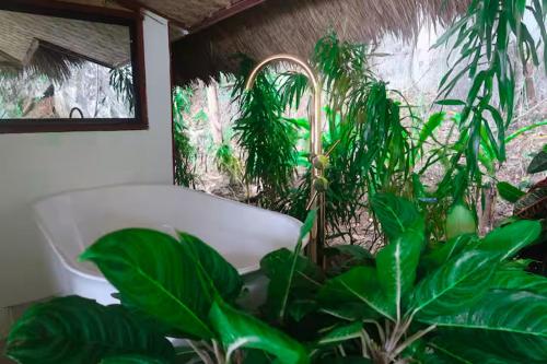 Zen Oasis Private Island Resort - El Nido