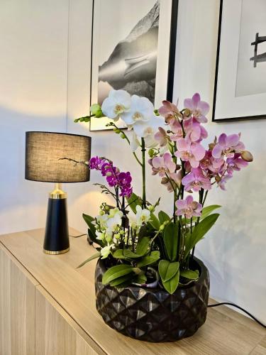 Alėjos Apartmentai Comfort