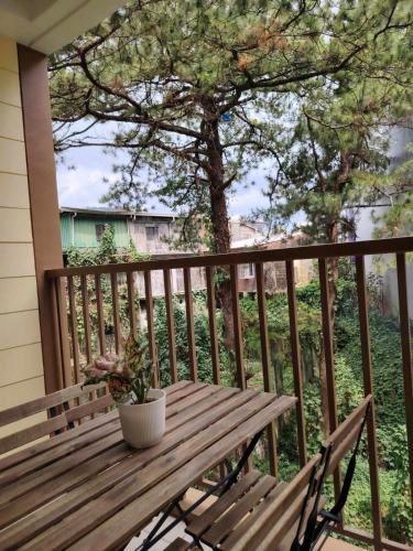 Baguio-Cozy & affordable staycation