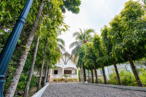 Panglao Villa