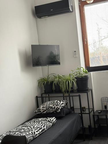 INDUSTRIAL ZONE-STUDIO 3